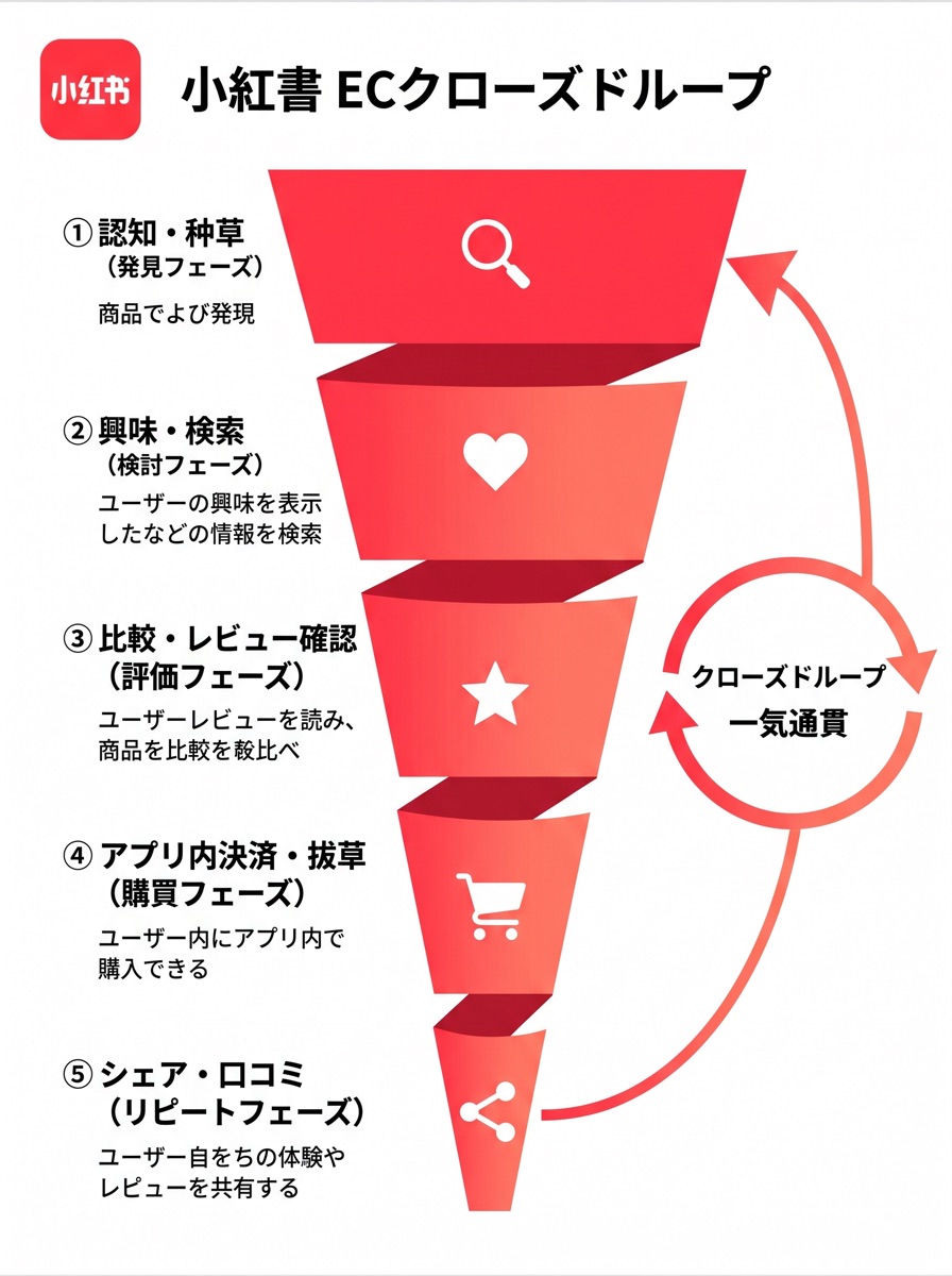 小紅書アプリ内の購買ファネル図